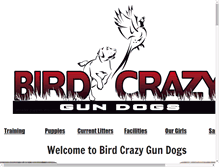 Tablet Screenshot of birdcrazygundogs.com